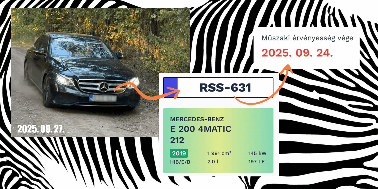 Wir hoffen, Sie hatten eine Routenlizenz für Zebras bei Merci in Hatvanpuszta