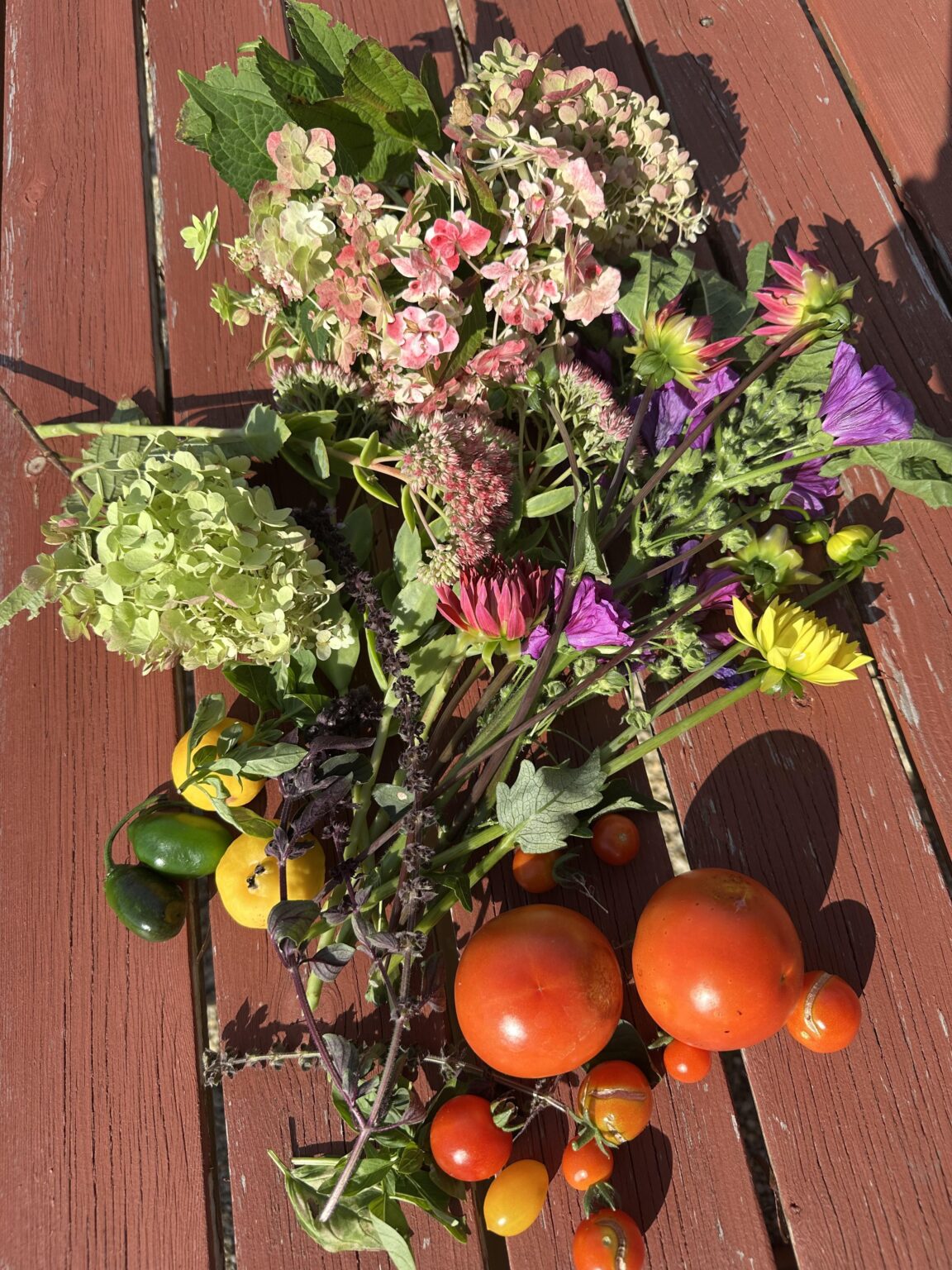 Meine Tomaten Saison neigt sich ganz langsam dem Ende zu💚 wie sieht es bei euch aus?