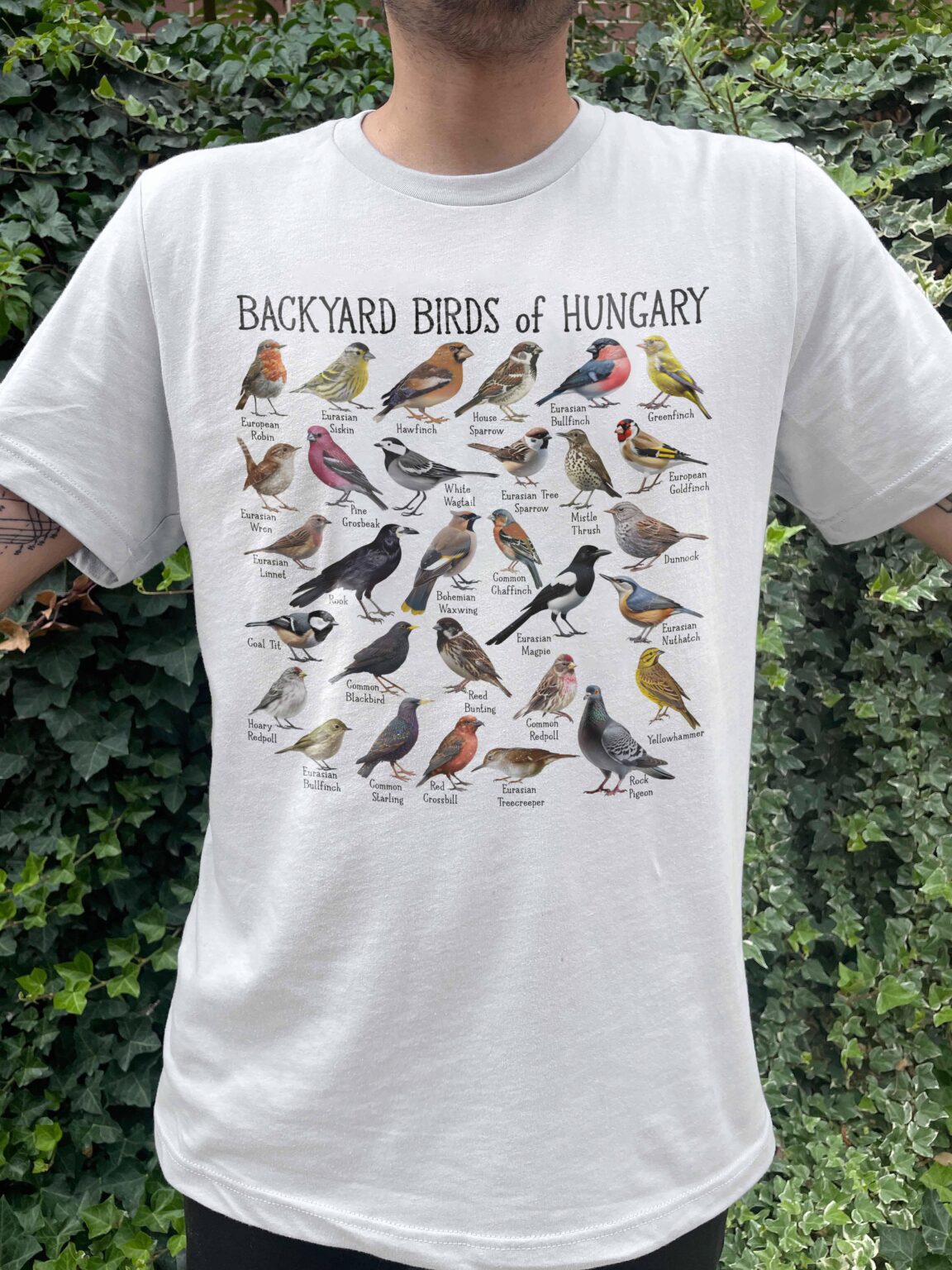 Ich bin gerade nach Ungarn gezogen, und mein Backyard-Vogelbeobachtungsspiel steht kurz vor dem Aufstieg