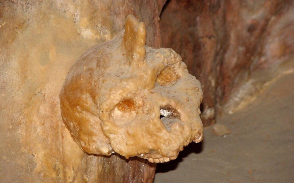 Der mysteriöse 300.000 Jahre alte griechische Höhlenschädel war weder menschlicher noch Neandertaler. Die Forscher haben vor 300.000 Jahren mit dem mysteriösen Schädel von Petralona Cave in Griechenland datiert und gelangte zu dem Schluss, dass das Fossil einer alten menschlichen Gruppe, die neben Neandertalern lebte, gehörte.