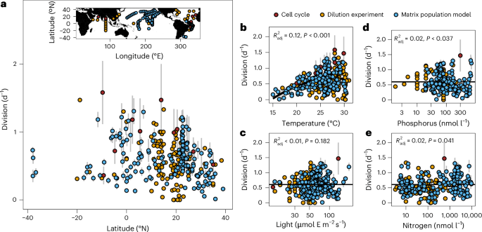 Zukünftige Ozeanerwärmung kann zu einer großen Verringerung der Prochlorcoccus -Biomasse und der Produktivität führen. Prochlorococcus ist die am häufigsten vorkommende photosynthetische Organismus der Erde und entscheidend für ozeanische Ökosysteme.