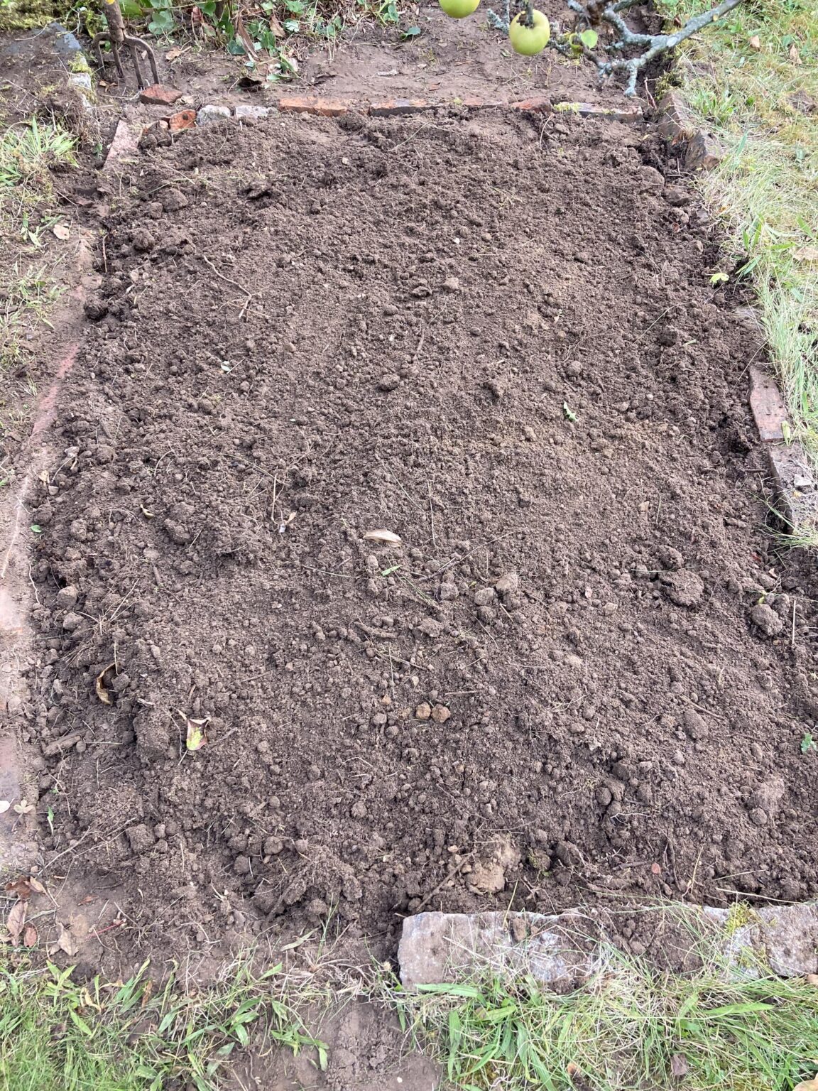 Entkrautetes Beet Pflanzempfehlungen
