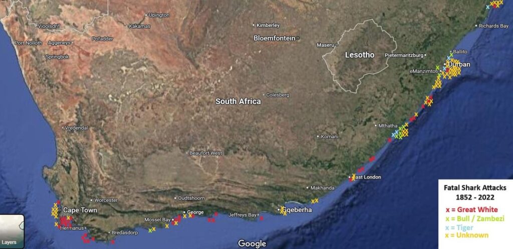 Fatale Haiangriffe in Südafrika – Spezies Zusammenbruch Fatale Haiangriffe in Südafrika - Spezies Zusammenbruch