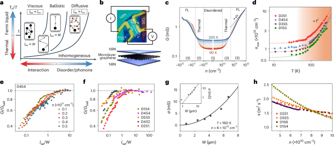 Universalität im quantenkritischen Ladungsfluss und Wärme in Ultraklean -Graphen