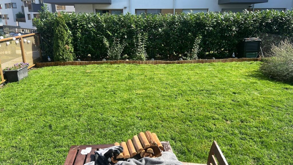 Einzug im Mai, Anlage im Juli in der größten Hitze. Feintuning heute. Done Einzug im Mai, Anlage im Juli in der größten Hitze. Feintuning heute. Done