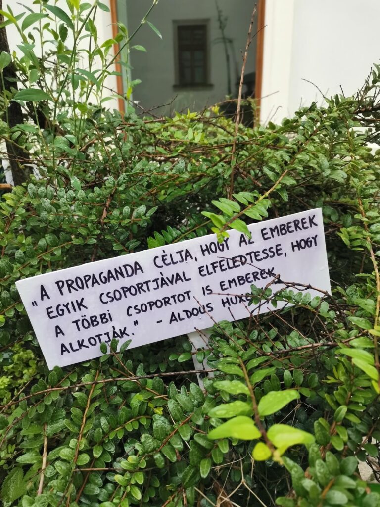 In Eger rannte ich auf die Straße neben dem Palast des Erzbischofs