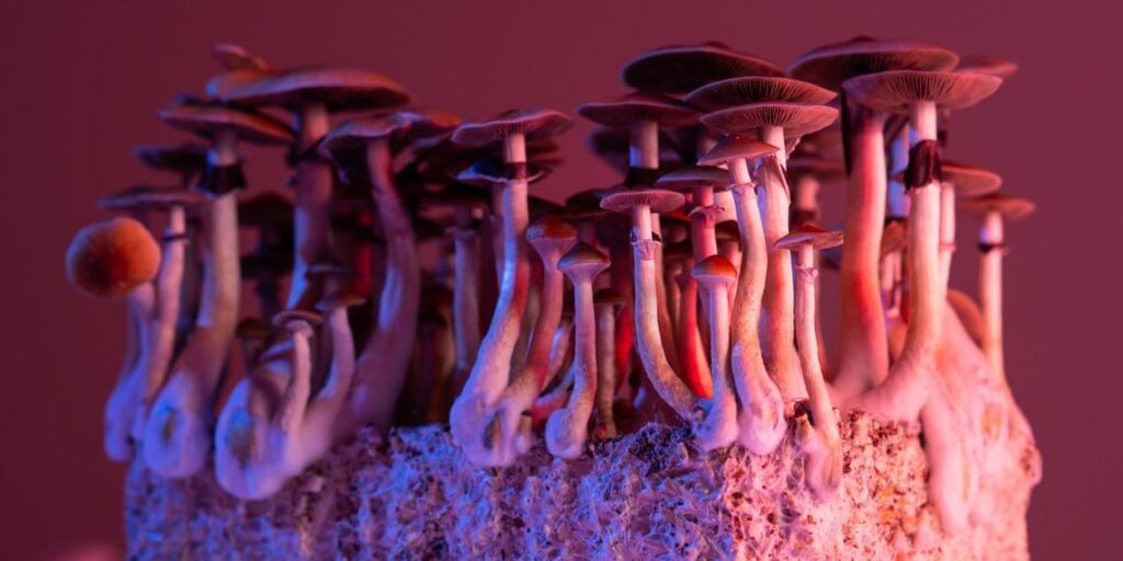 Psilocybin -Therapie im Zusammenhang mit einer dauerhaften Depression Remission fünf Jahre später | Die Forschung legt nahe, dass die Kombination der psychedelischen Substanz mit Psychotherapie zu dauerhaften Verbesserungen der psychischen Gesundheit und des allgemeinen Wohlbefindens führen kann. Psilocybin -Therapie im Zusammenhang mit einer dauerhaften Depression Remission fünf Jahre später | Die Forschung legt nahe, dass die Kombination der psychedelischen Substanz mit Psychotherapie zu dauerhaften Verbesserungen der psychischen Gesundheit und des allgemeinen Wohlbefindens führen kann.