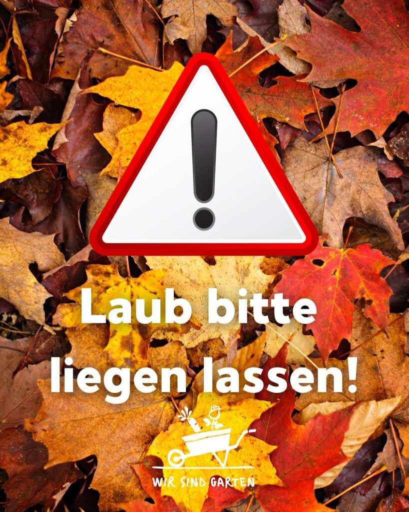 Laub bitte liegen lassen! Laub bitte liegen lassen!