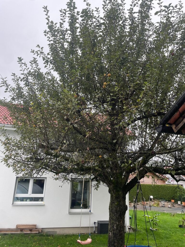 Was hat unser Boskop?