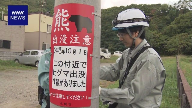 Sichtungen von Braunbären, die im Wohngebiet Sapporo, Nordjapan, gemeldet wurden