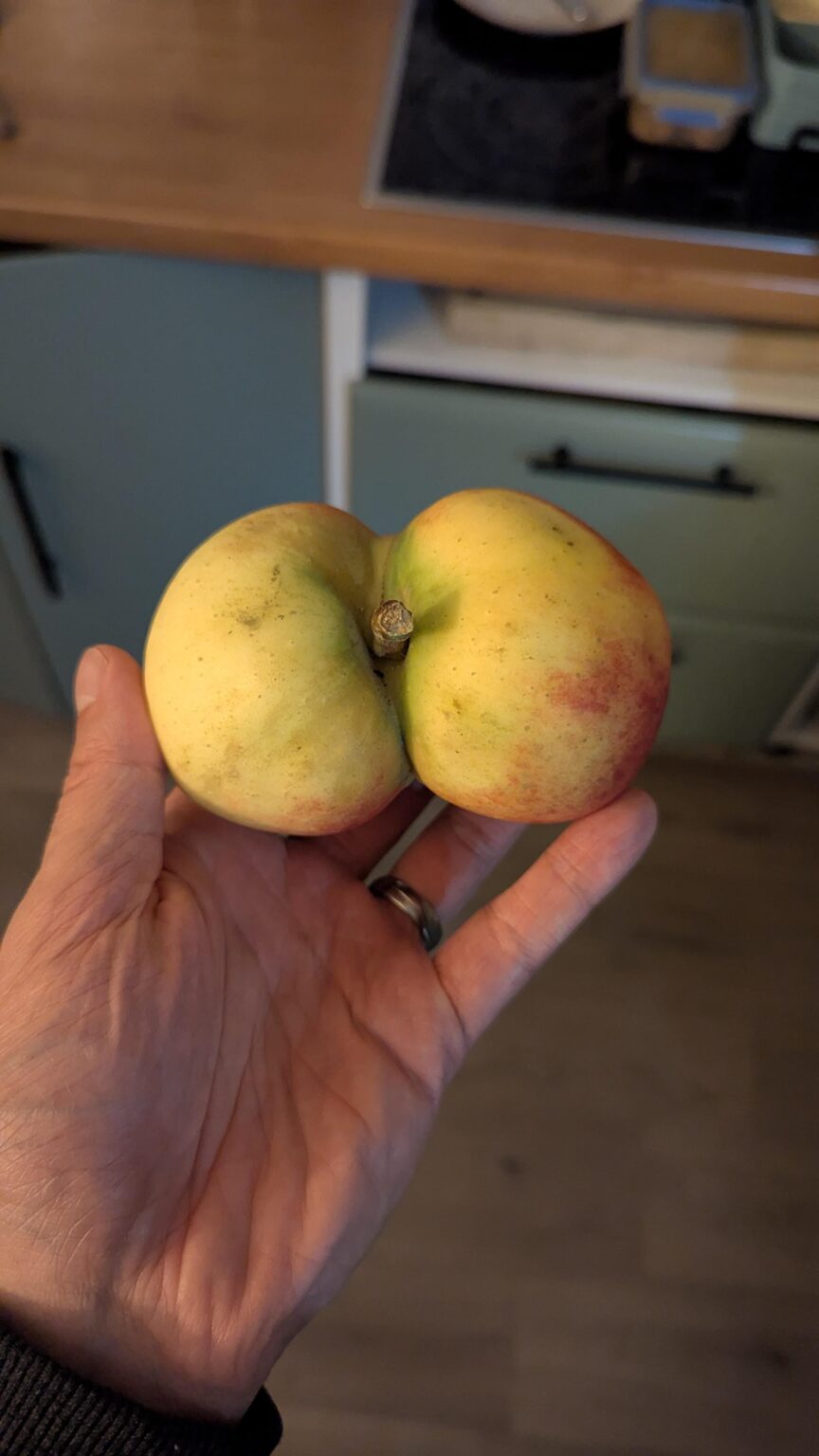 Weil ein andere Nutzer etwas ähnliches gepostet hat.