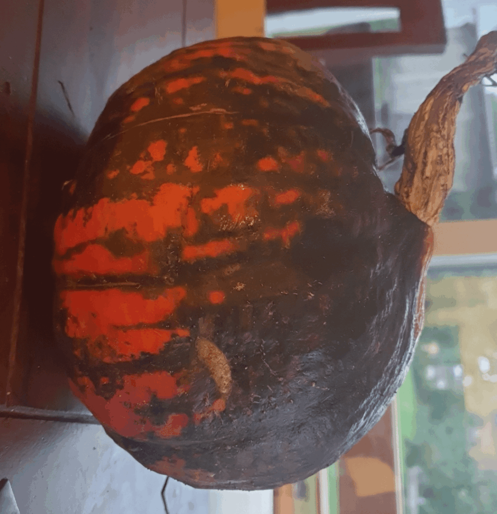 Hokkaido seltsam verfärbt