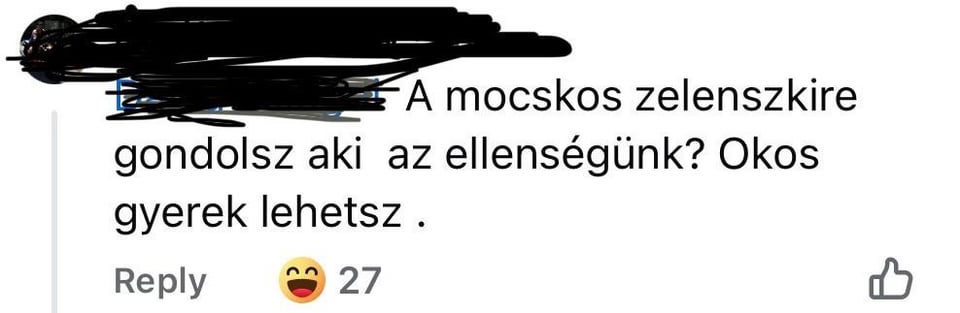 Die Meinung unserer Landsleute zur Lage in der Ukraine