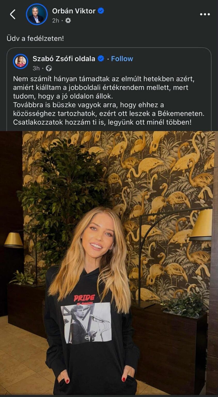 Stolz Ungarns
