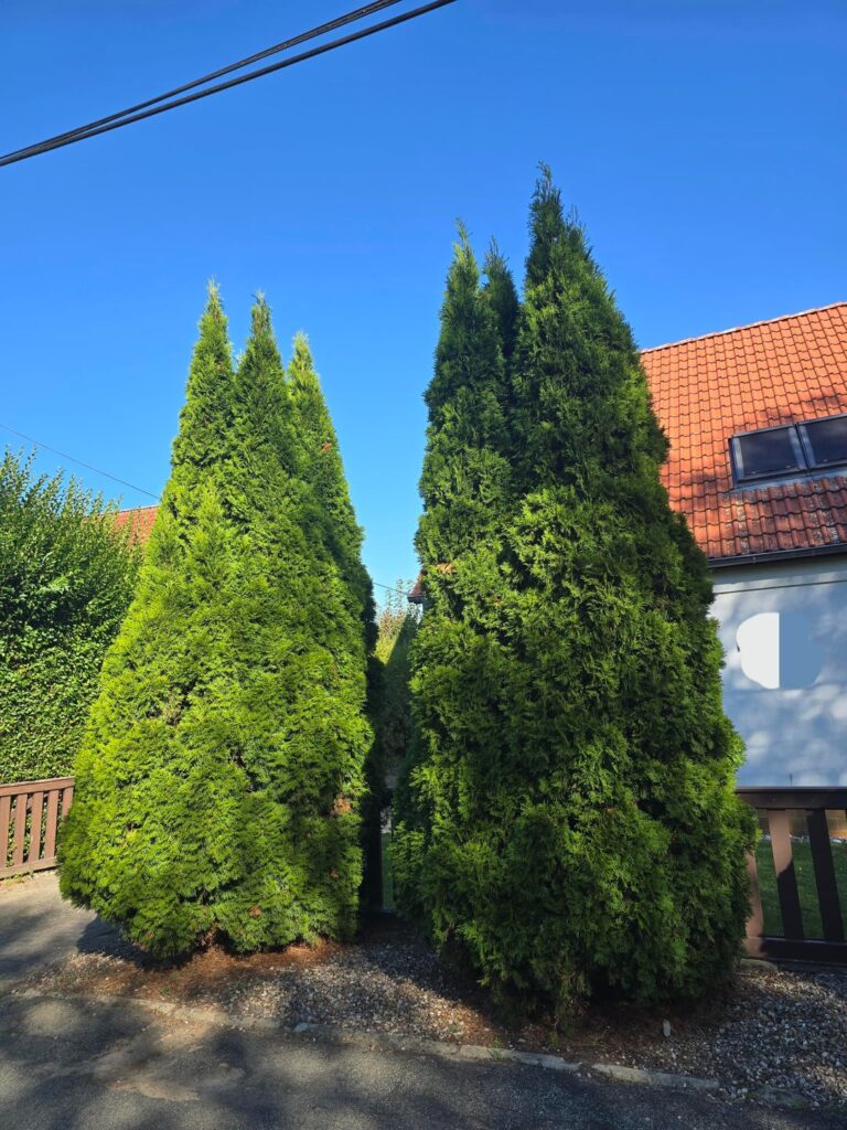 Vorher/Nacher Vorher/Nacher