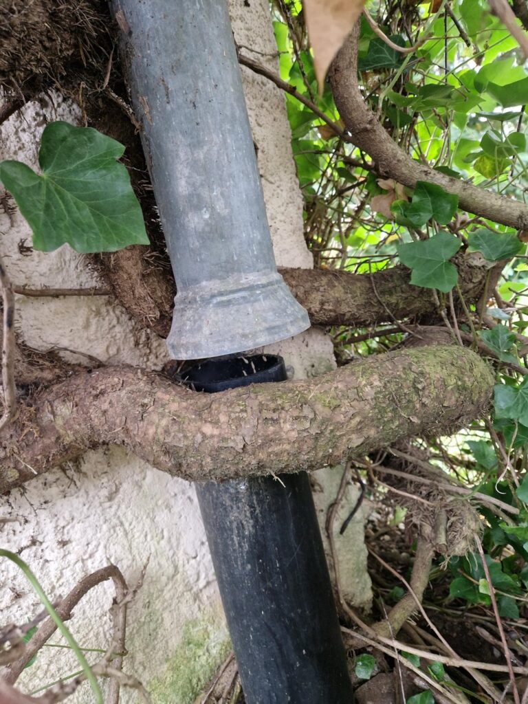 Tja. Was kann man da wohl machen? Tja. Was kann man da wohl machen?