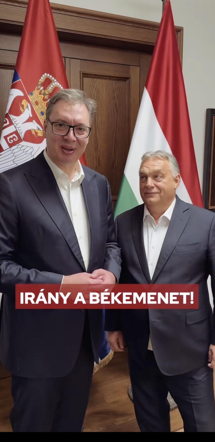 Es scheint, dass Cooking es nicht mehr verbergen kann, er ist wirklich in Diktatoren verliebt!😍😍