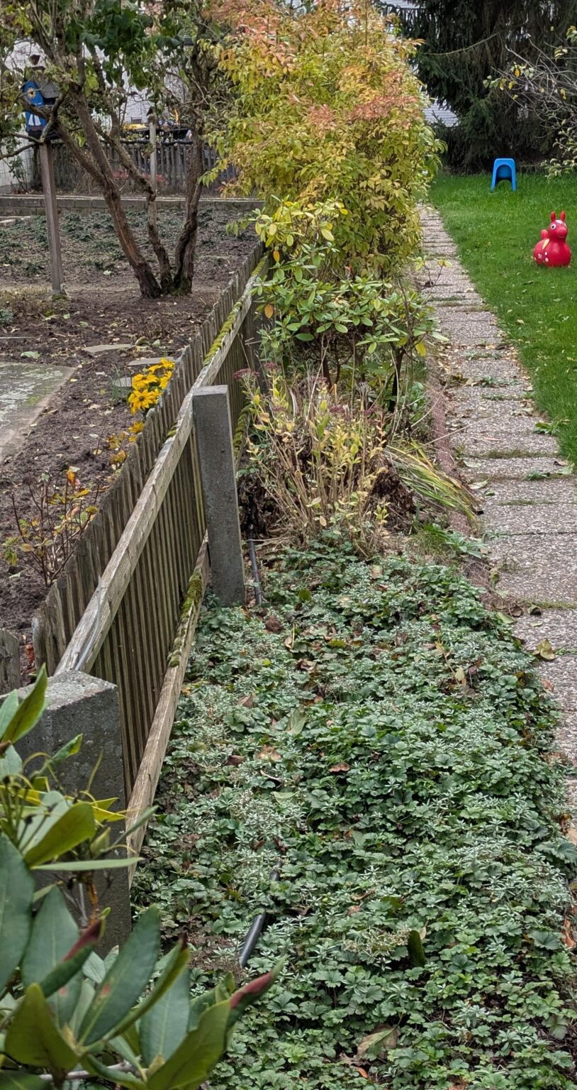 Hecken aus verschiedenen Büschen Hecken aus verschiedenen Büschen