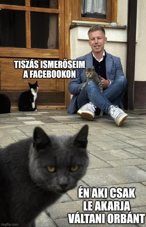 Ein Facebook-Feed von 2025-ben: