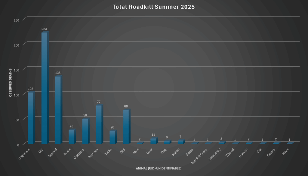 Roadkill beobachtete in den letzten vier Monaten (OC)