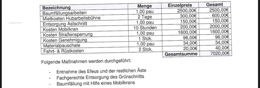 Ist das ein valider Preis für eine Baumfällung?