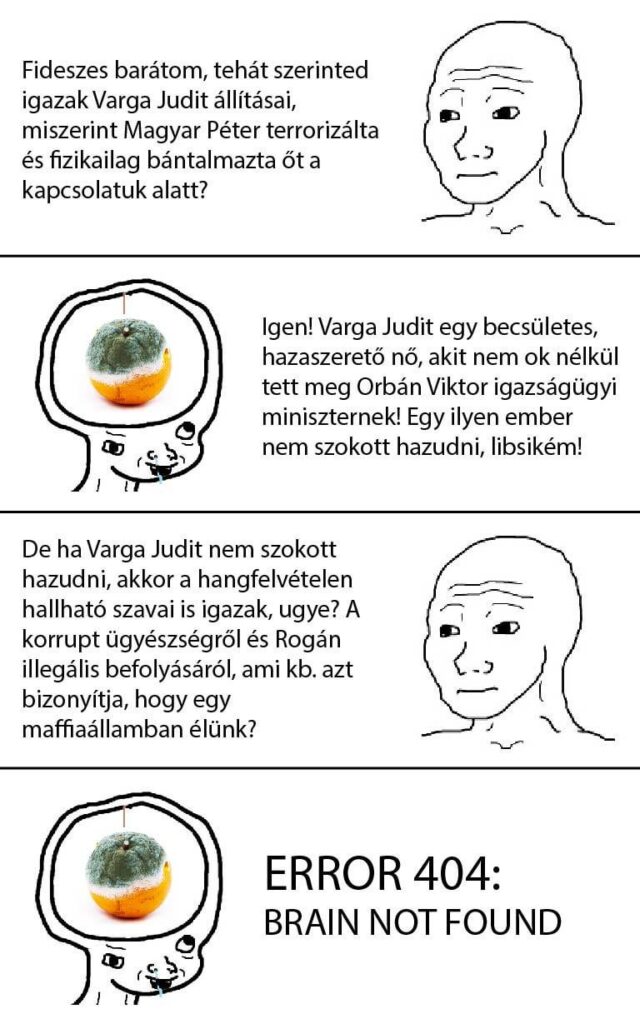 Die Schlussfolgerung: Sie wollen nicht wirklich in den Fidesz springen