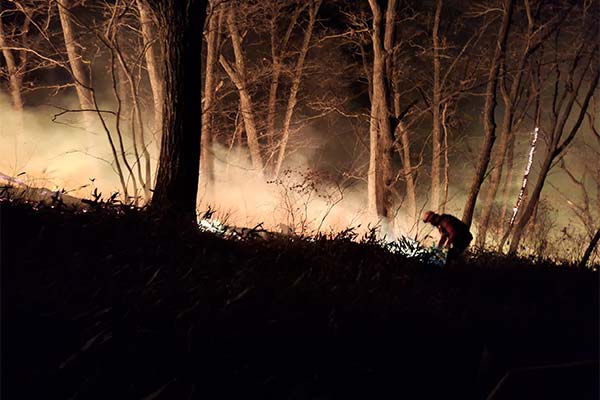 Yangyang Wildfire nach 16 Stunden unter Kontrolle