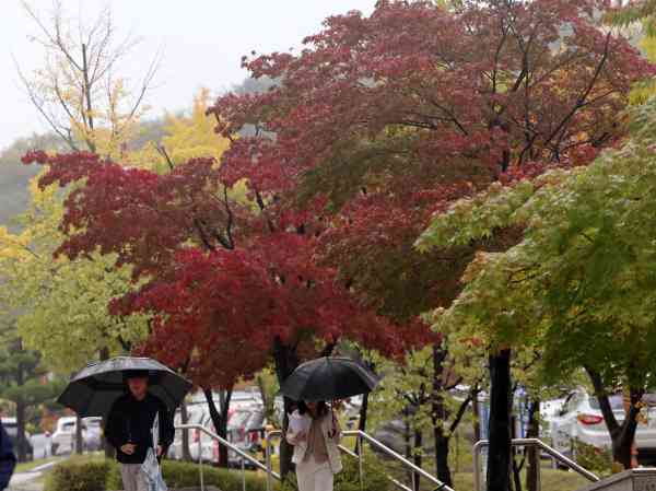 Regen sorgt am Dienstag für kältere und staubigere Bedingungen in ganz Südkorea