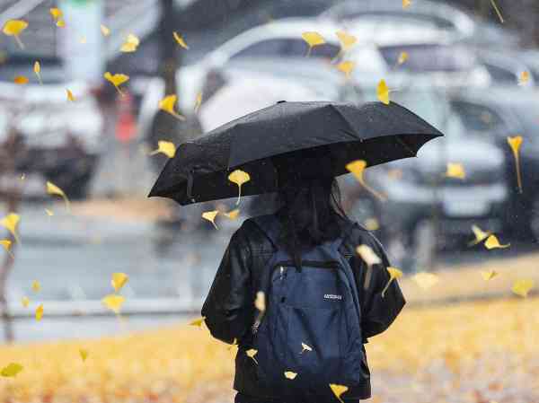 Regen, Schnee und starker Wind prognostizieren für Donnerstag in Südkorea