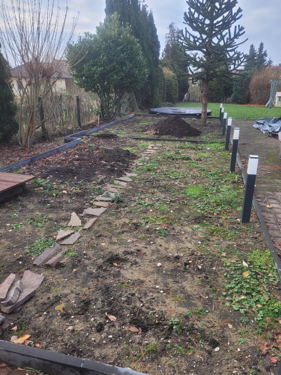 Beet verkrautet nach Ernte / Vorbereitung nächste Aussaat Beet verkrautet nach Ernte / Vorbereitung nächste Aussaat