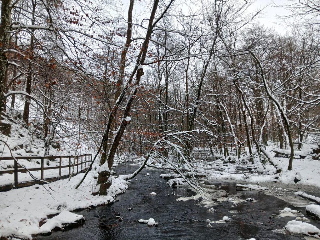 Winterfeeling im Söderåsen-Nationalpark in Skåne am Samstag