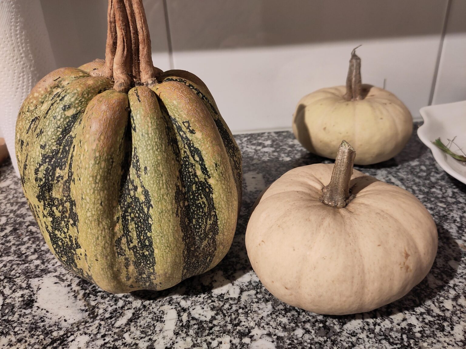Selbst gezogene Kürbisse. Aber keine Ahnung was für eine Sorte. Weiss das jemand?