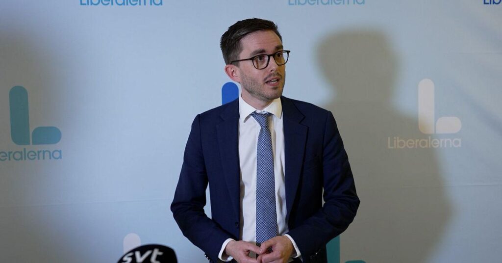 Der Verein: L sagt Nein zu SD-Ministern