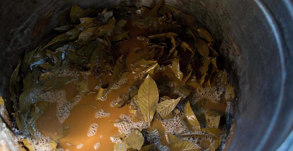 Mehrere Psychologen in Stockholm behandeln mit Ayahuasca