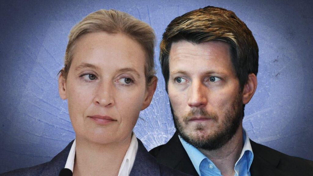 "Objektive Drohkulisse": Höchster AfD-Parteirichter setzt Hilferuf ab