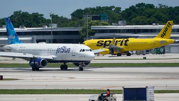 Fluggesellschaften arbeiten an der Behebung eines Softwarefehlers in A320-Flugzeugen, der zu kurzfristigen Flugunterbrechungen führte