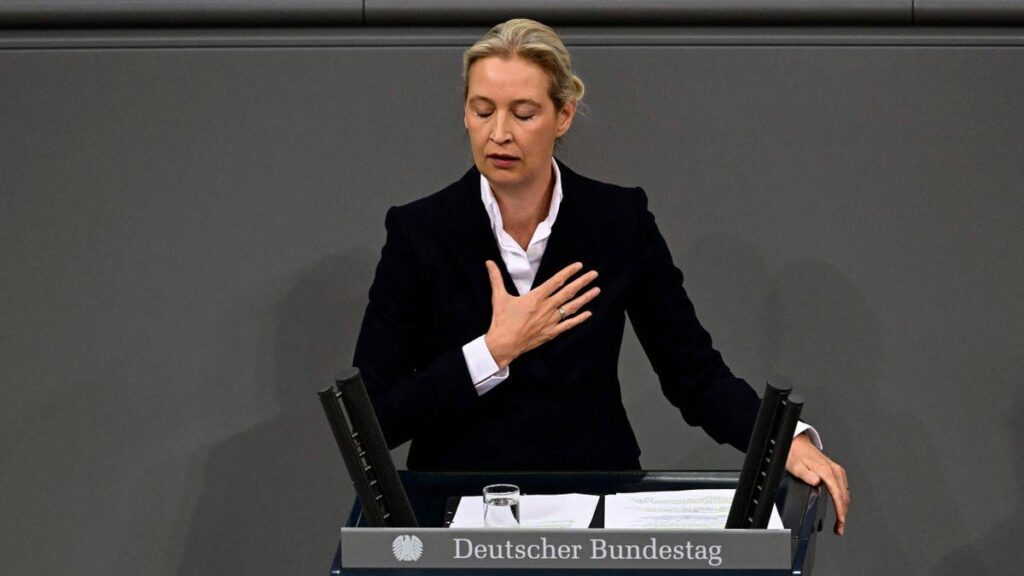 AfD im Bundestag: Die können es nicht - Kommentar