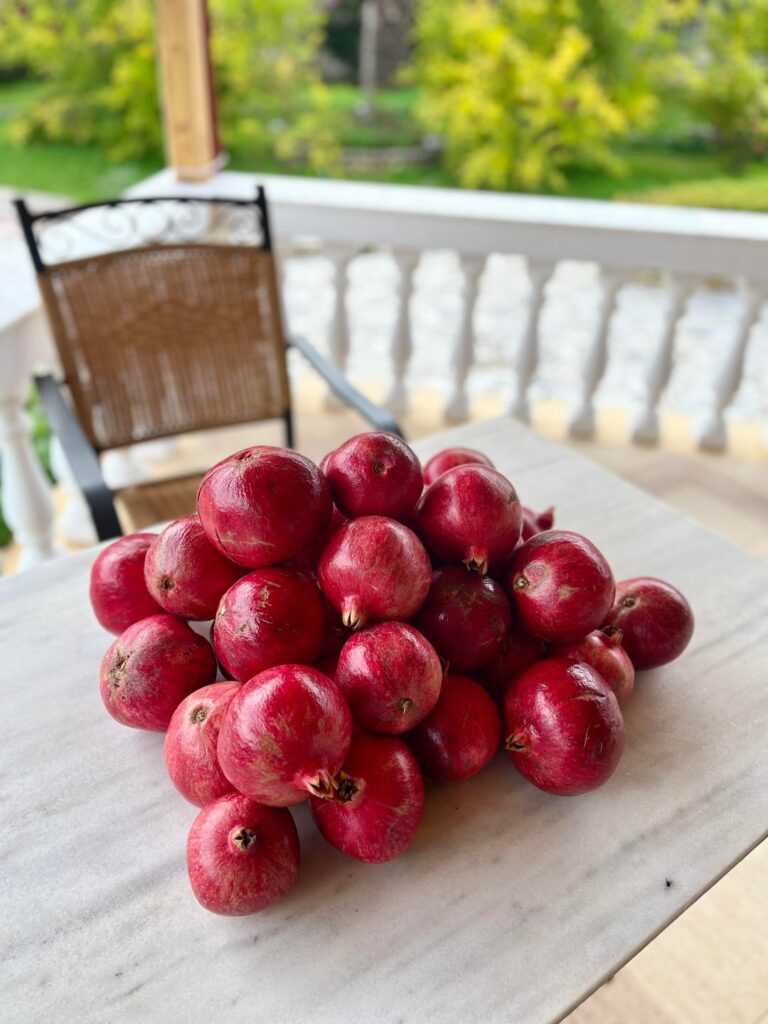 Mein Nachbar hatte keine Zeit seine Granatäpfel zu ernten. Das ist die Ausbeute, die ich retten konnte.