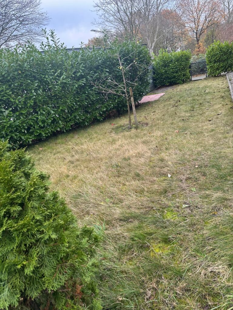 Neu in Deutschland und neu im Gartenbau