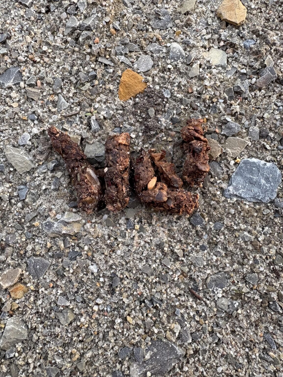 Von welchem Tier stammt der Kot?