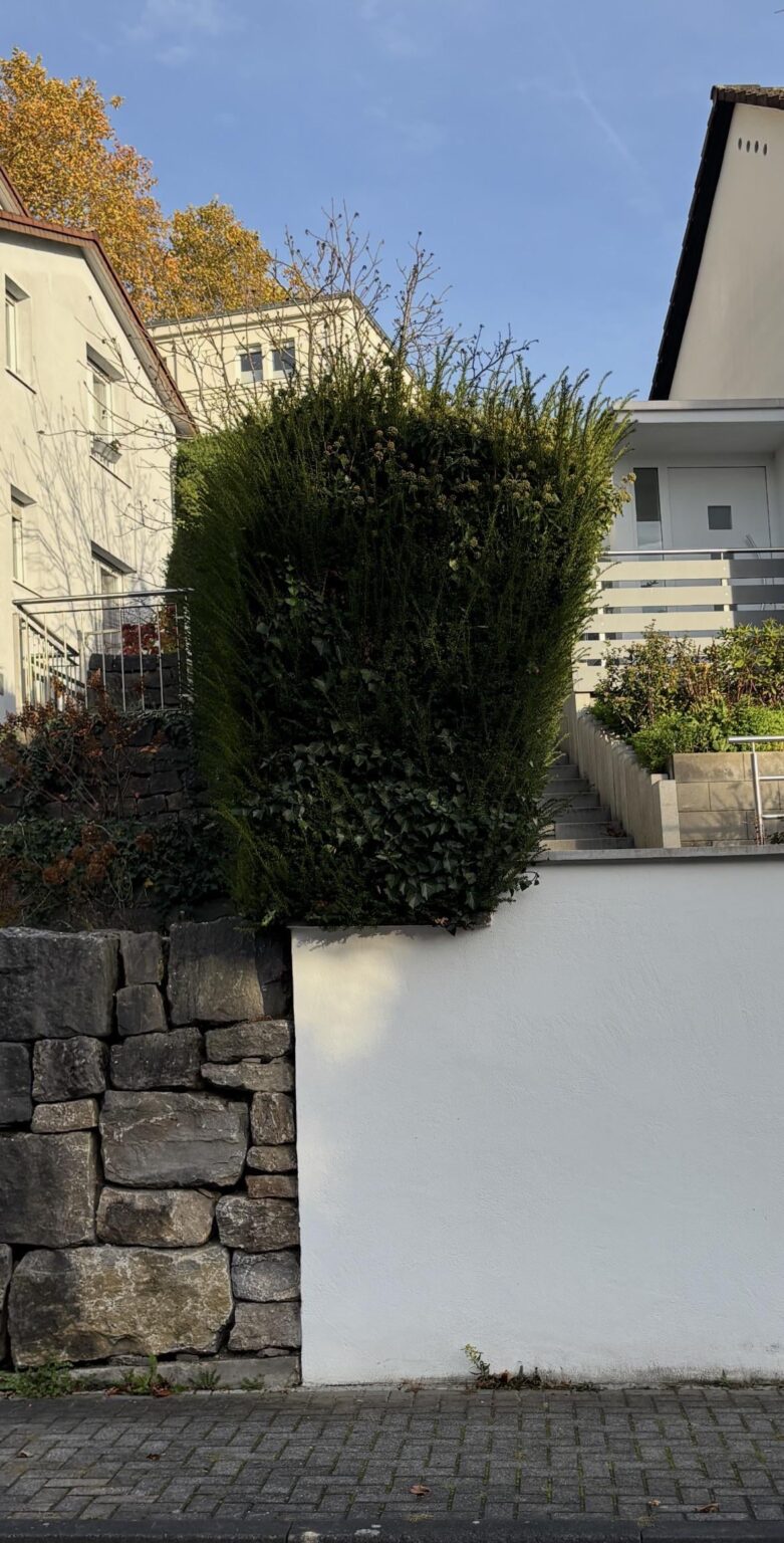 Wem gehört diese Hecke?