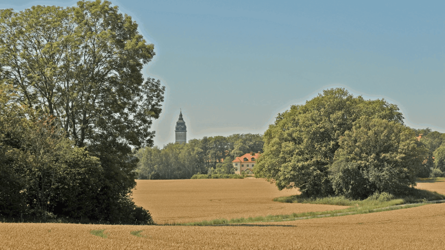Ein Sommerbild vom letzten Sommer