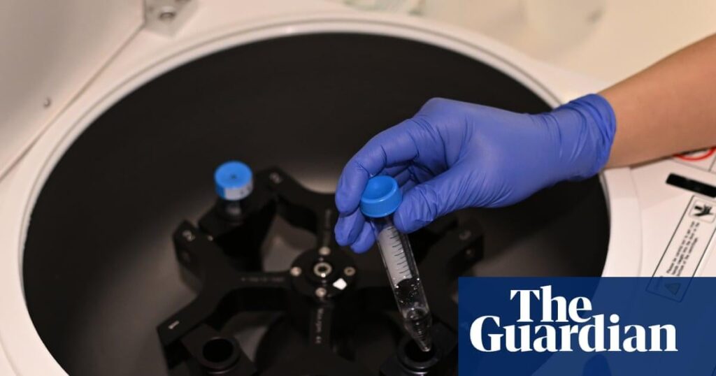 Britische IVF-Paare nutzen eine Gesetzeslücke, um Embryonen nach potenziellem IQ, Größe und Gesundheitszustand einzustufen