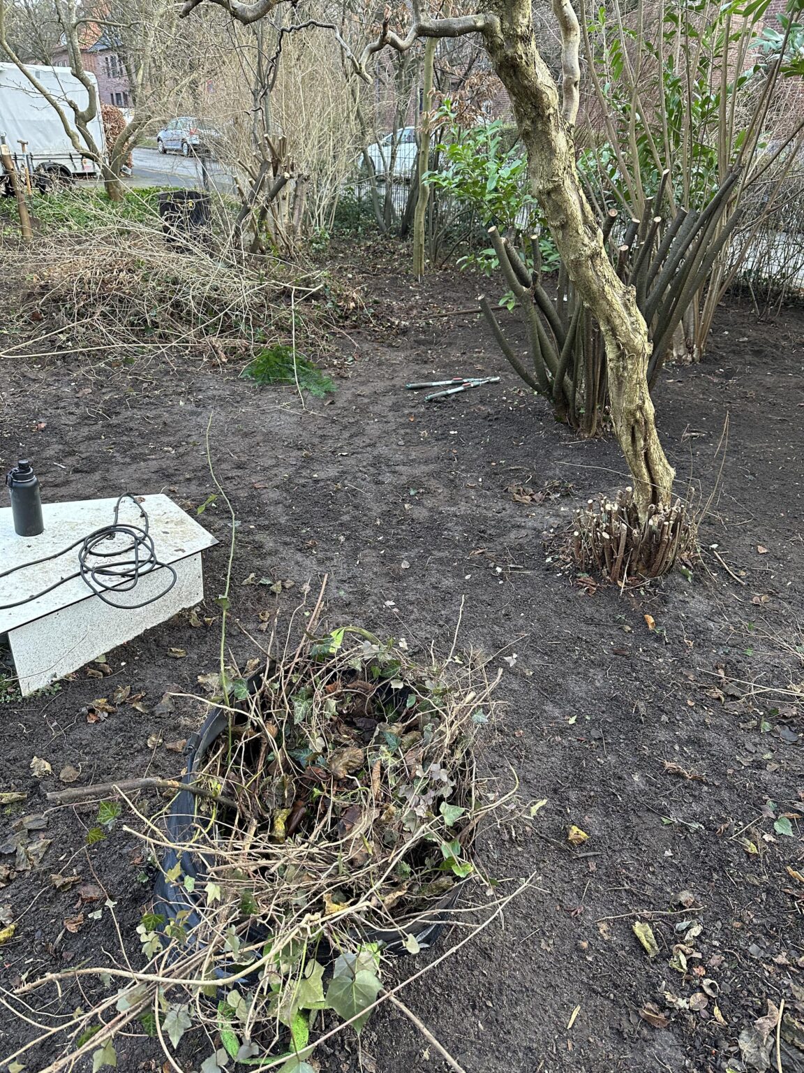 Haus gekauft, Garten Urwald Haus gekauft, Garten Urwald
