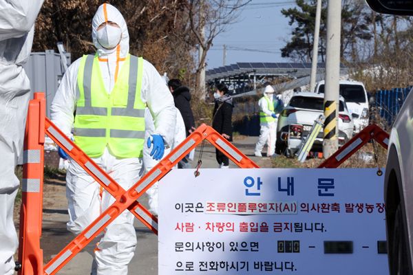 Ein weiterer Fall von hochpathogener Vogelgrippe wurde in Chungcheong bestätigt
