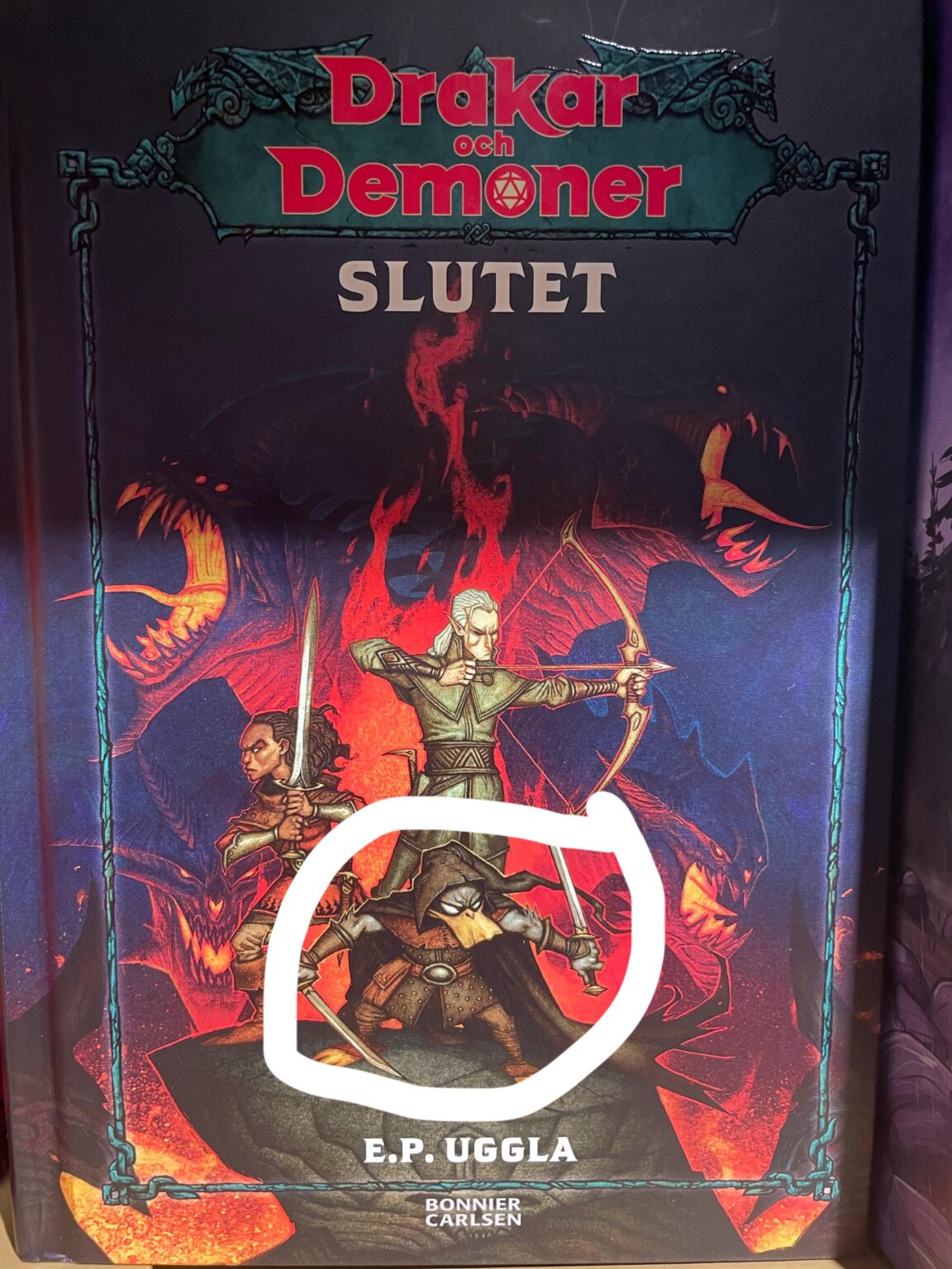 Sie haben immer noch Enten in Drachen und Dämonen!