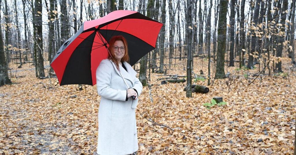 Nach Empfehlung des Parlaments auf vorzeitige MAID-Anträge drängen
