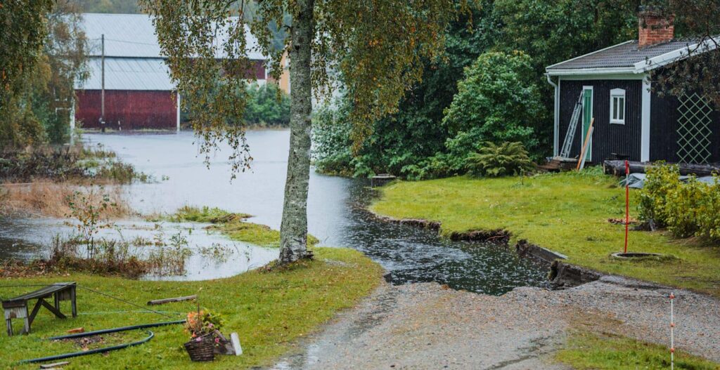 In Schweden verschwinden die Winter vollständig – alles wird nasser