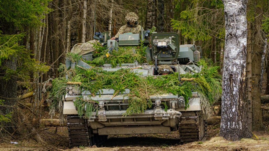 Großbritannien startet Pilotprojekt für freiwilligen Wehrdienst ab März