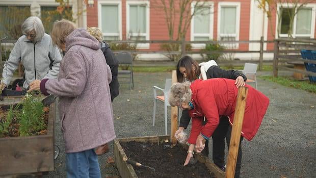 BC „Demenzdorf“ erregt nationales Forschungsinteresse, da Fälle in ganz Kanada zunehmen | Das Village Langley richtet sich an Menschen mit Demenz und ist so gestaltet, dass es wie eine kleine Gemeinschaft aussieht und sich auch so anfühlt